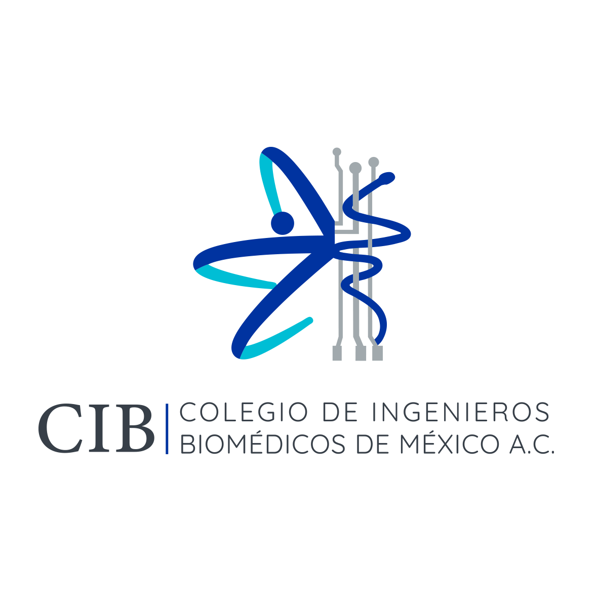 Logo Aliado 6